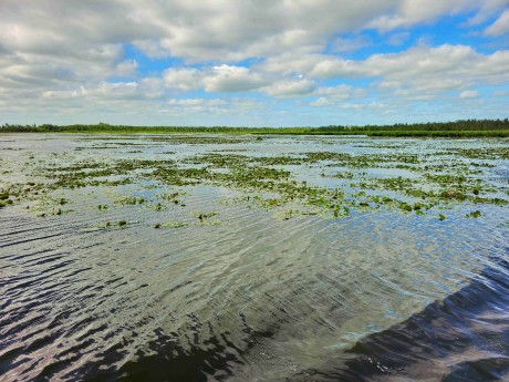 Elblagský kanál_ 2025_06_30_013