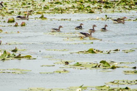 Elblagský kanál_ 2025_06_30_018