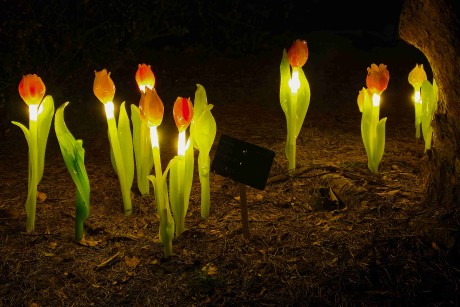 Praha_Křišťálová zahrada_ 2026_01_02_002