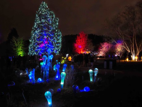 Praha_Křišťálová zahrada_ 2026_01_02_003