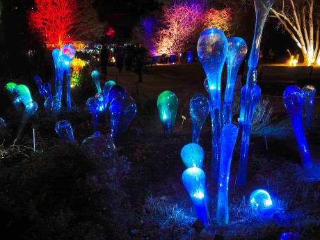 Praha_Křišťálová zahrada_ 2026_01_02_004