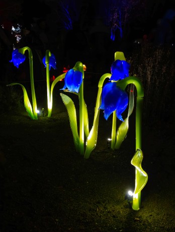 Praha_Křišťálová zahrada_ 2026_01_02_005