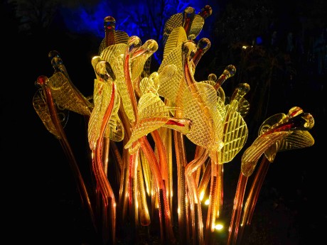 Praha_Křišťálová zahrada_ 2026_01_02_006