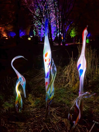 Praha_Křišťálová zahrada_ 2026_01_02_008