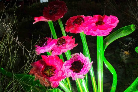 Praha_Křišťálová zahrada_ 2026_01_02_010