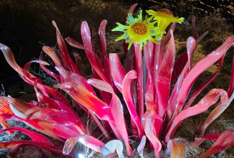 Praha_Křišťálová zahrada_ 2026_01_02_013