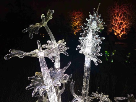 Praha_Křišťálová zahrada_ 2026_01_02_017