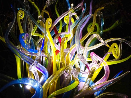 Praha_Křišťálová zahrada_ 2026_01_02_018