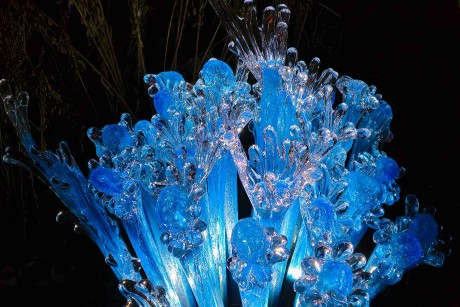 Praha_Křišťálová zahrada_ 2026_01_02_020