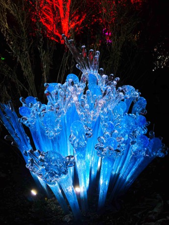 Praha_Křišťálová zahrada_ 2026_01_02_021