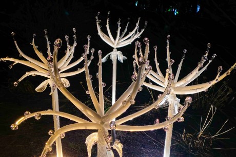 Praha_Křišťálová zahrada_ 2026_01_02_022