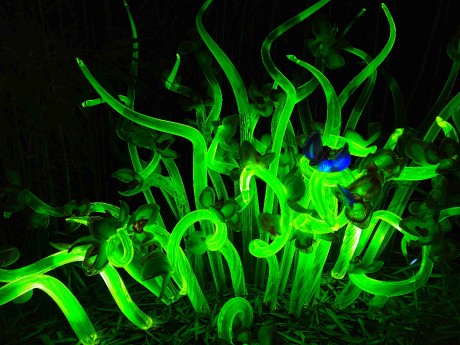 Praha_Křišťálová zahrada_ 2026_01_02_024