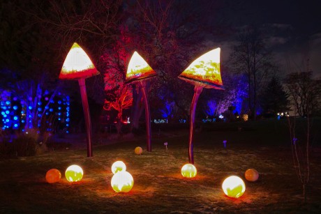 Praha_Křišťálová zahrada_ 2026_01_02_025