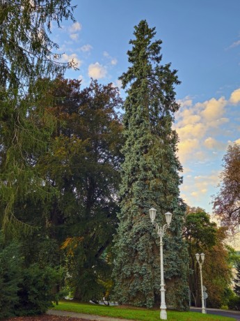 Mariánské Lázně_ 2025_09_21_049