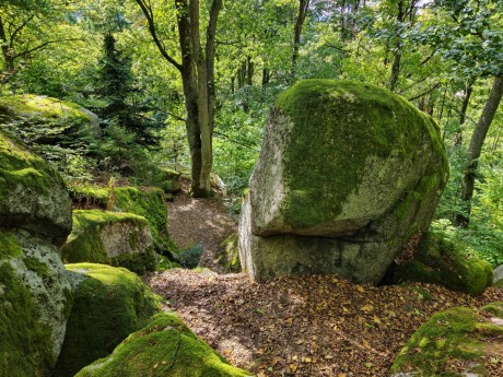 Mariánské Lázně_ 2025_09_21_053