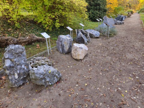 Praha_Botanická zahrada Na Slupi (6)