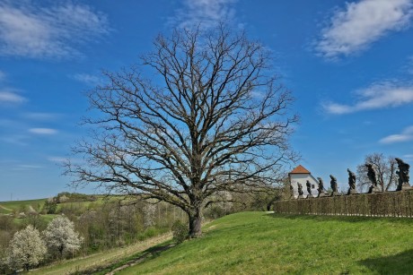 Kuks_003