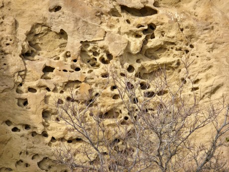 2026_02_03_Qobustan_skalní rytiny_014