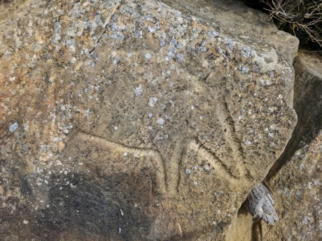 2026_02_03_Qobustan_skalní rytiny_017