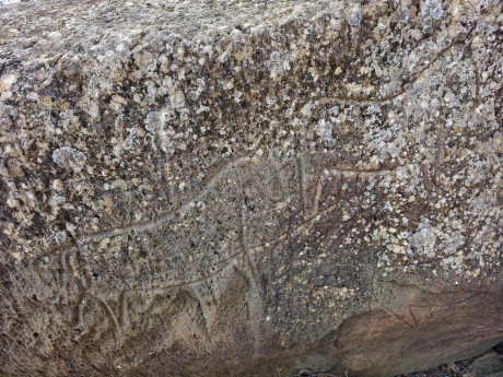 2026_02_03_Qobustan_skalní rytiny_019