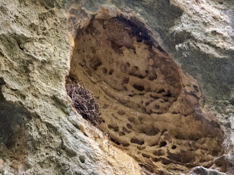 2026_02_03_Qobustan_skalní rytiny_027