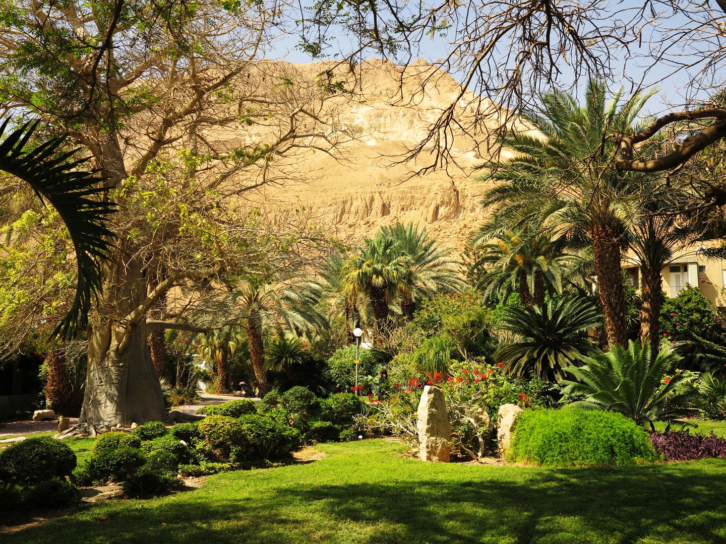 En Gedi - botanická zahrada (4)