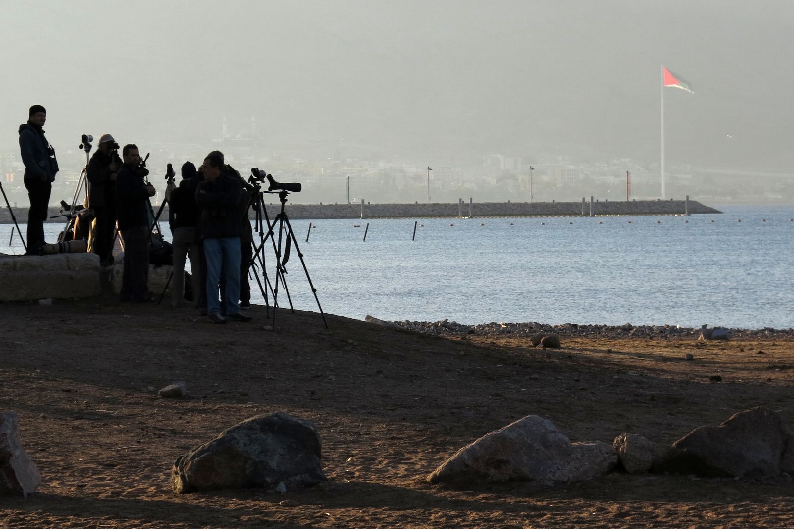 Bidwatching - Eilat Northern Beach