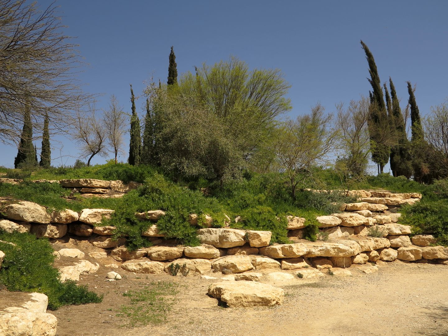 Midreshet Ben Gurion (1)