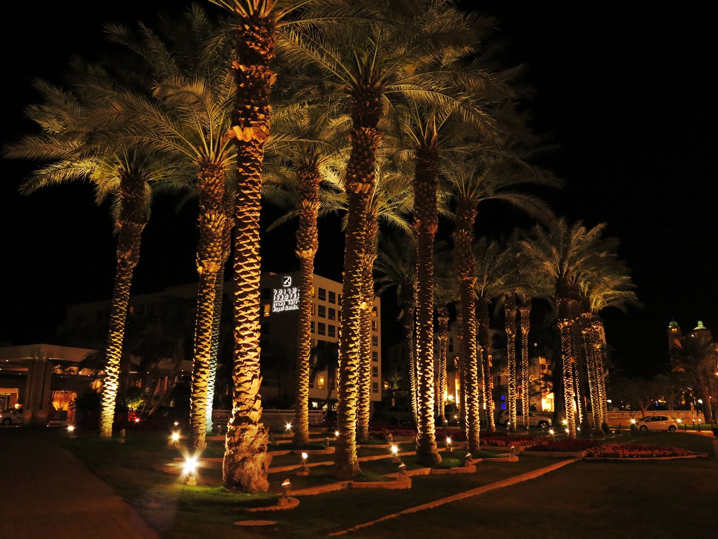 Eilat - Rudé moře (8)