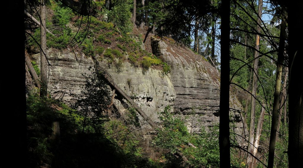 Národní park České Švýcarsko 2014 (18)