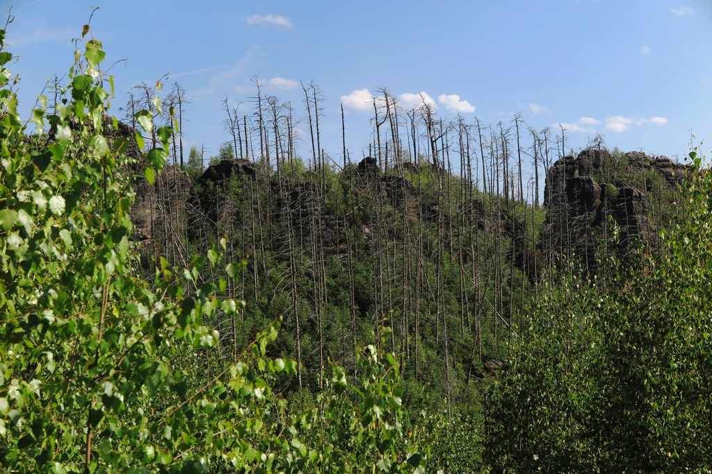 Národní park České Švýcarsko 2014 (34)