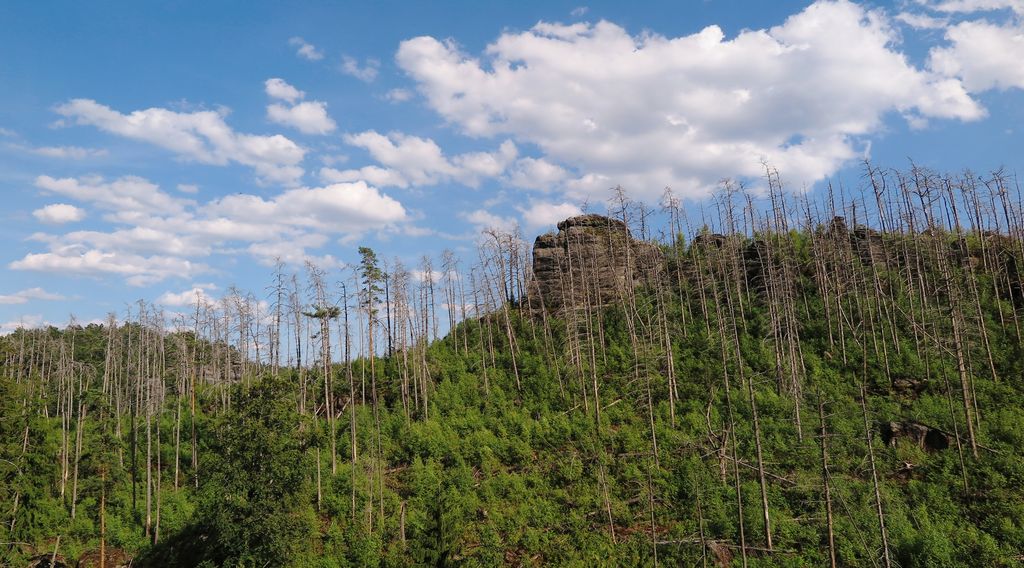 Národní park České Švýcarsko 2014 (35)