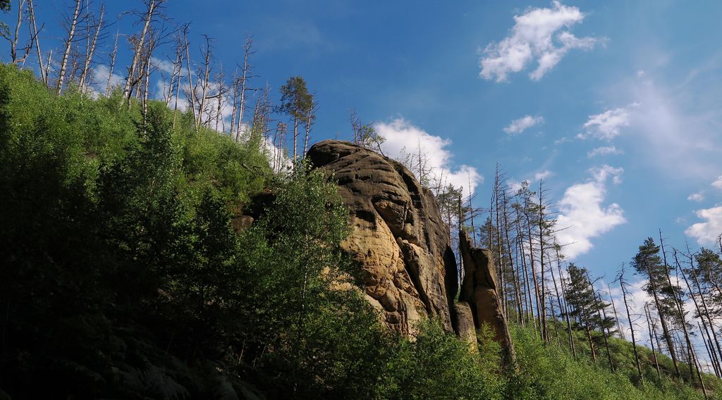 Národní park České Švýcarsko 2014 (36)