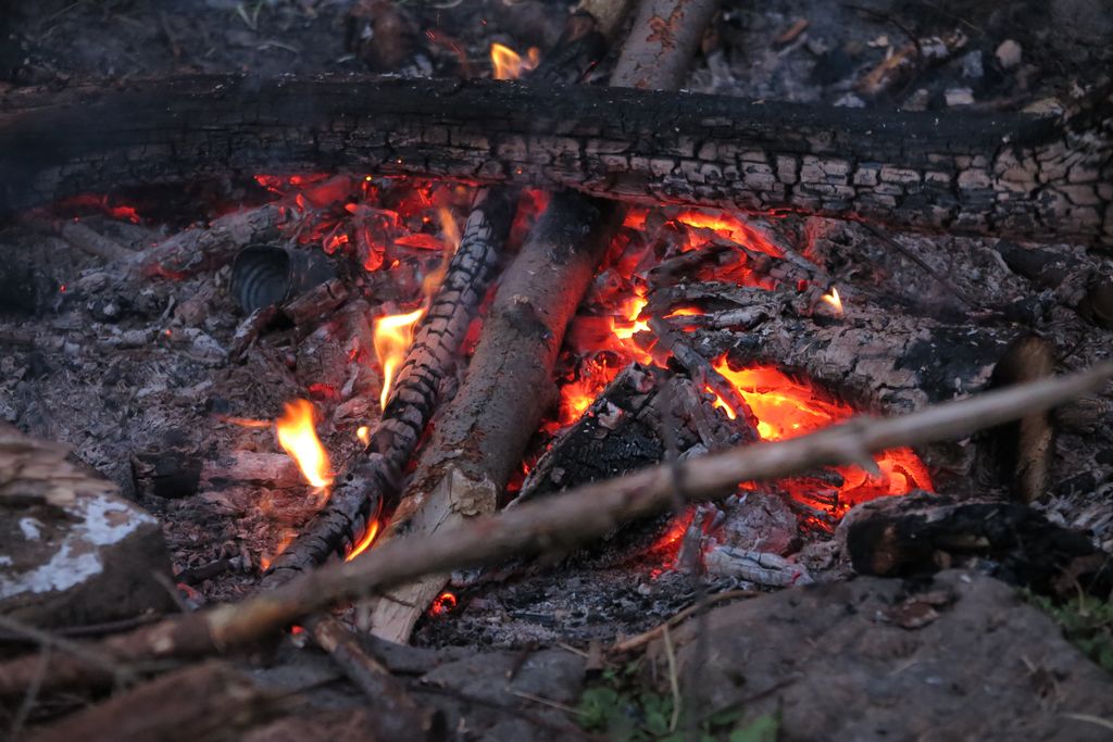 Národní park České Švýcarsko 2014 (44)