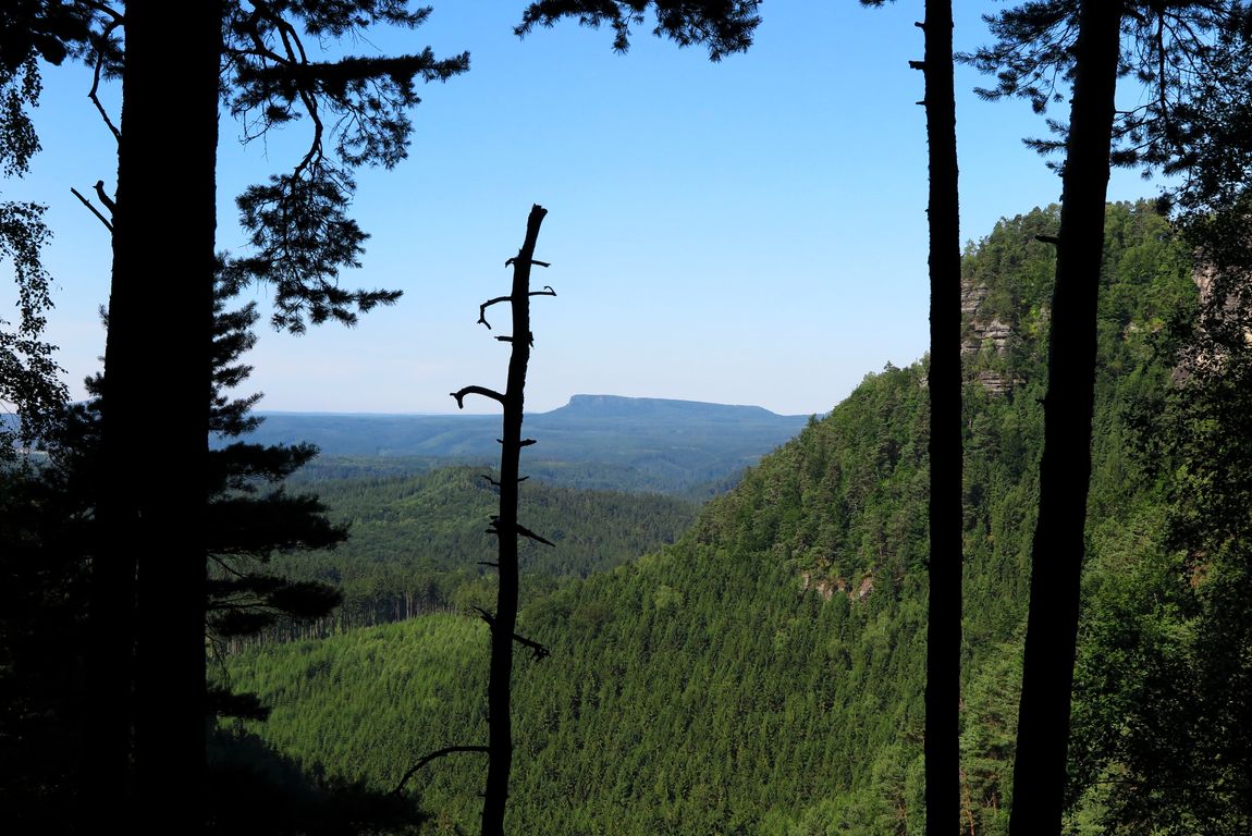 Národní park České Švýcarsko 2014 (74)