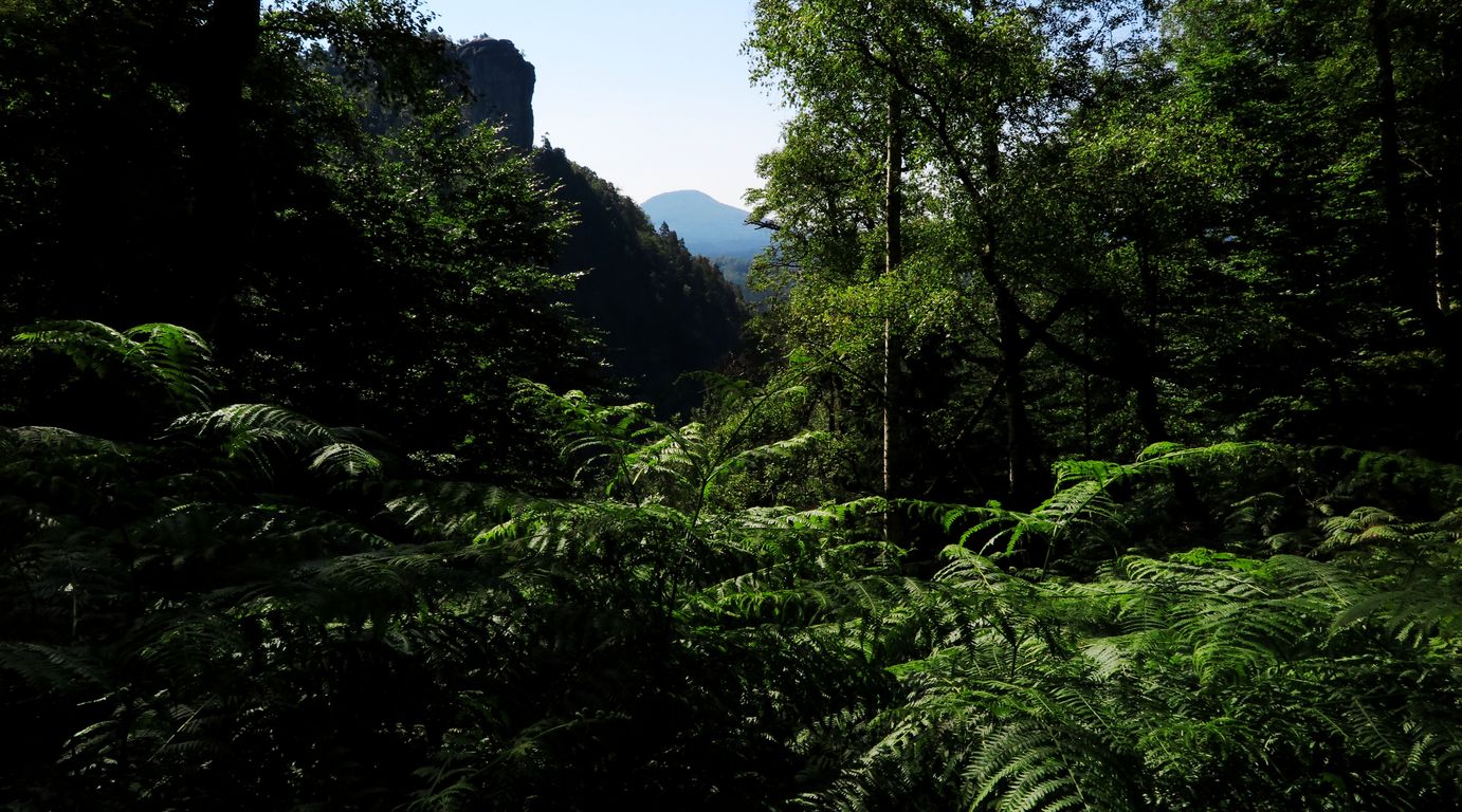 Národní park České Švýcarsko 2014 (79)