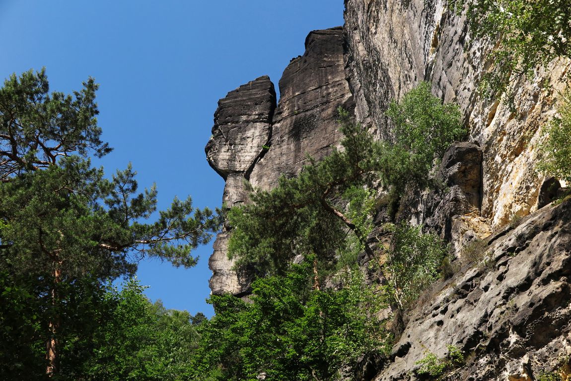 Národní park České Švýcarsko 2014 (80)