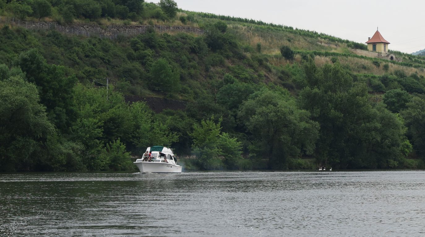 Velké Žernoseky 2014 (71)