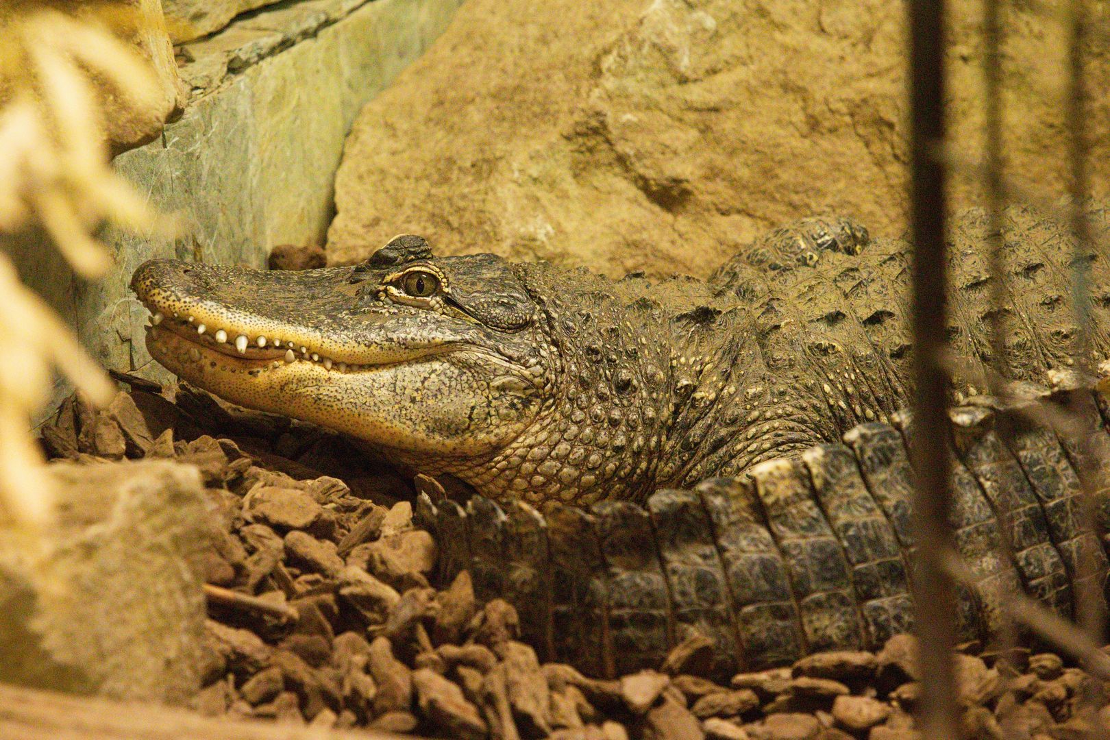 Zoo_Zlín_2015-0012