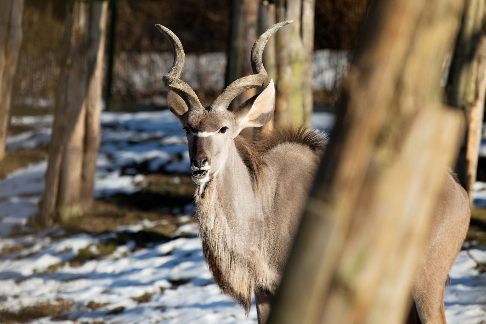 Zoo_Zlín_2015-0014