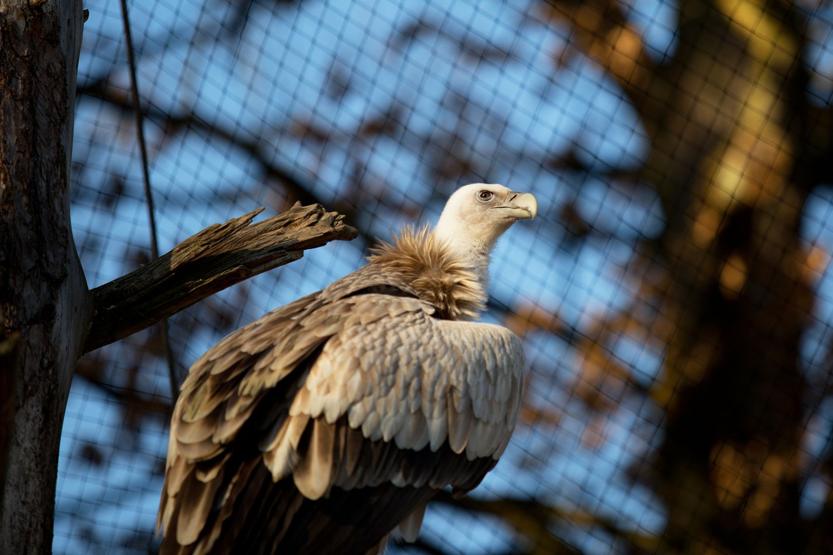 Zoo_Zlín_2015-0019