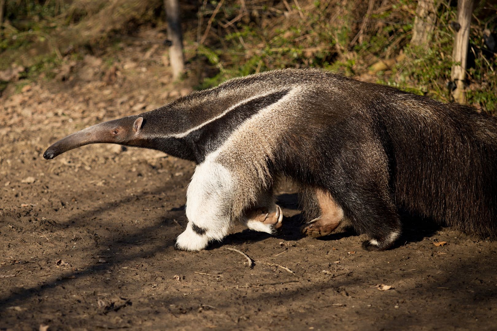 Zoo_Zlín_2015-0025