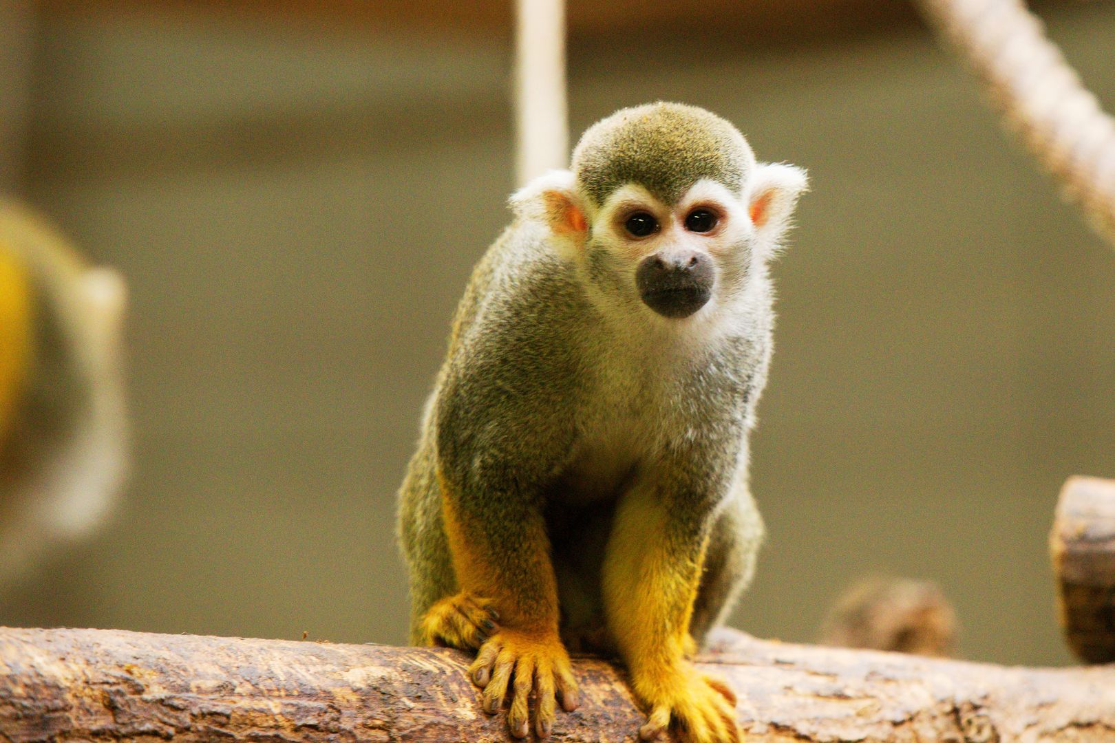 Zoo_Zlín_2015-0026