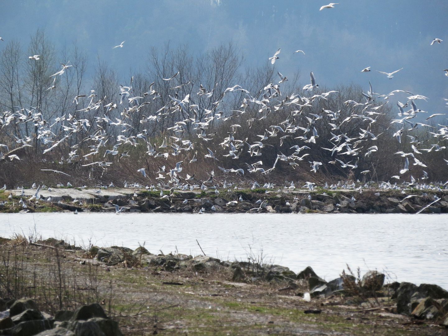 Jarní úklid na Rozkoši_2015_04_11-0022