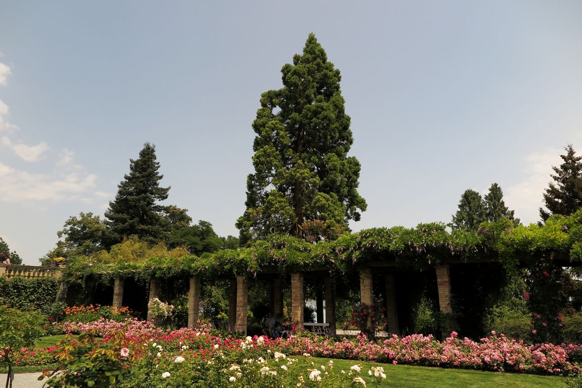 A_Ostrov Mainau_I (11)