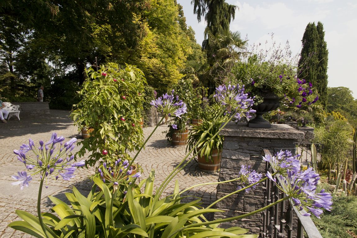 Mainau (6)