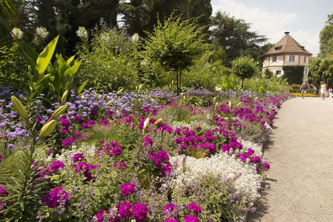 Mainau (9)