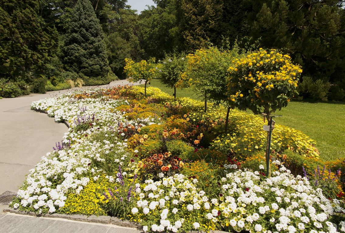 Mainau (15)