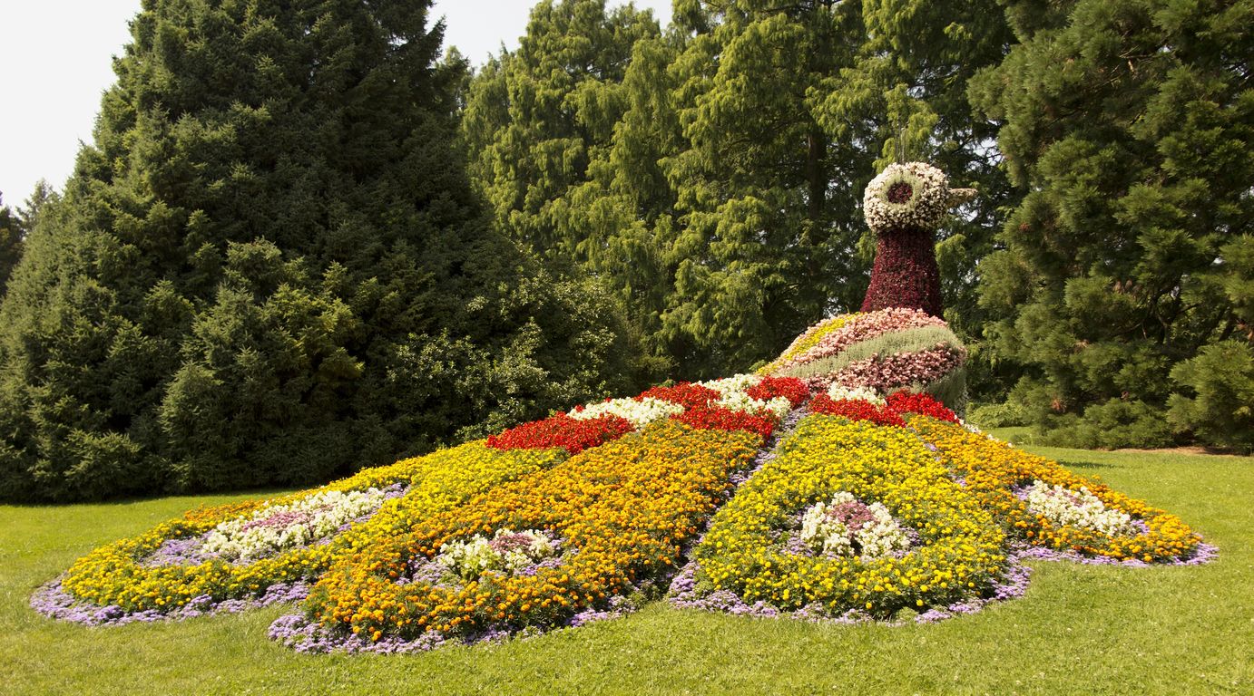 Mainau (17)