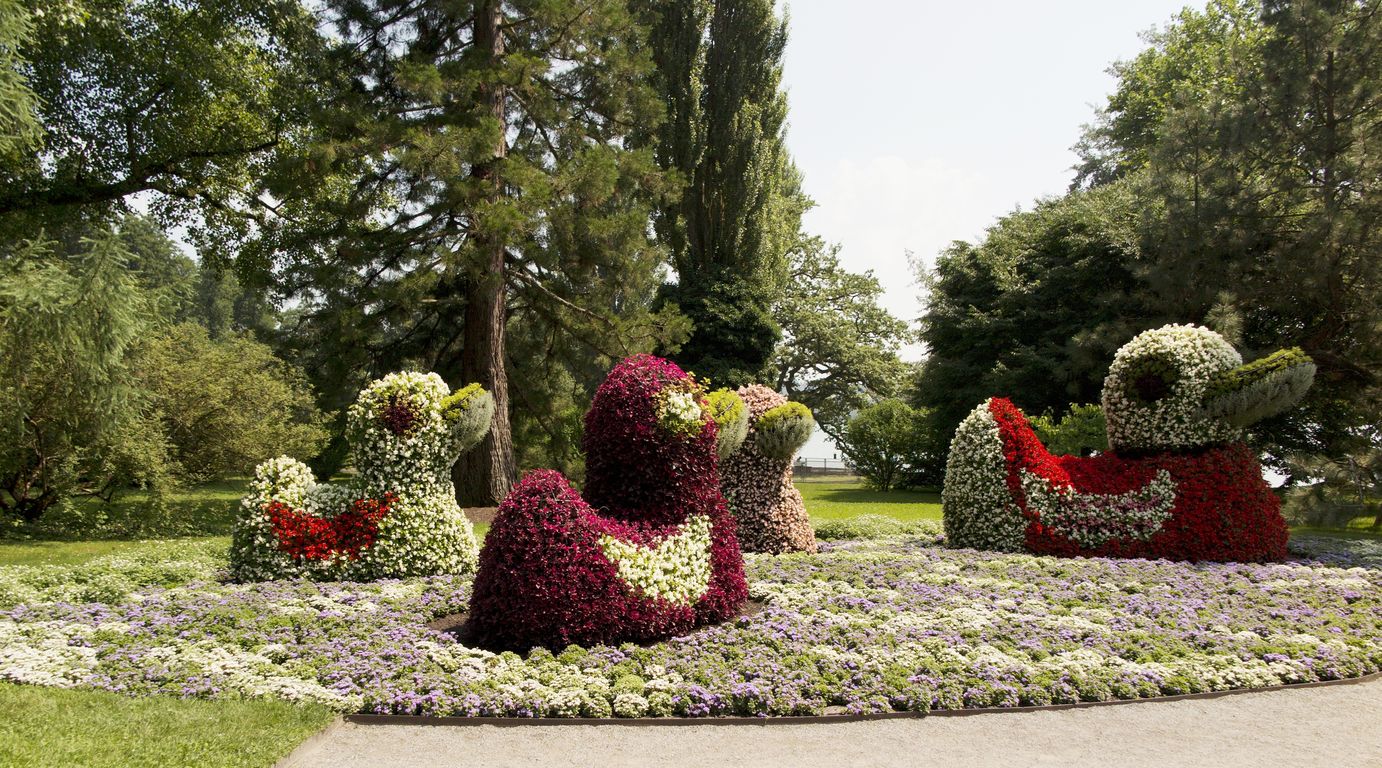 Mainau (18)